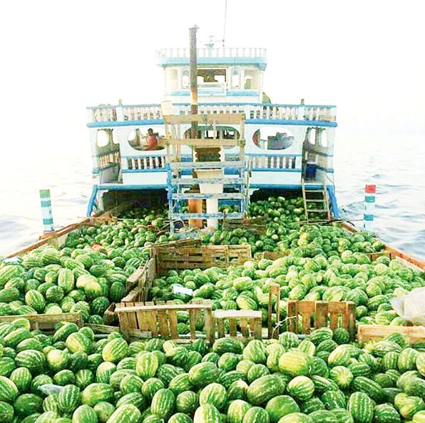 افزایش ۲۹درصدی صادرات آب به نام هندوانه!